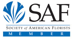 SAF