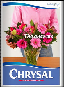 Chrysal Answers