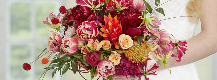 IFD_Flower_Trends_VibrantVibe_Rio_TintedCraspedia1